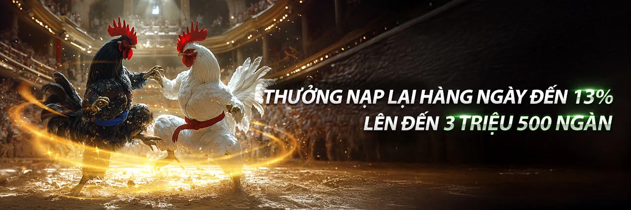 Hình ảnh giới thiệu mksport link mới